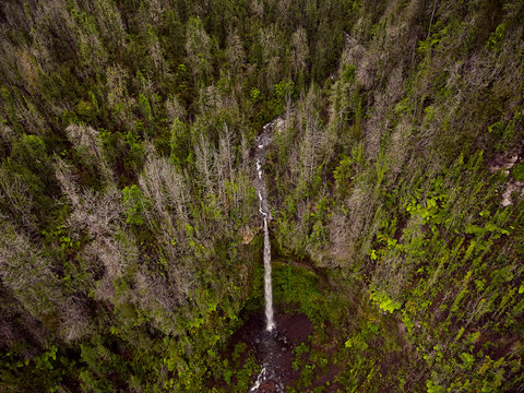 Green vegetation of volcano from drone