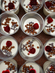 An Yoghurt based with raspberry portion dessert
