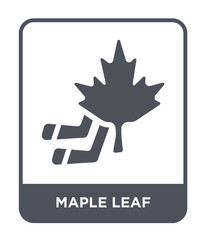 maple leaf icon vector