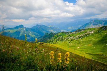 Obraz premium Typical summer mountains Switzerland landscape at sunny day time