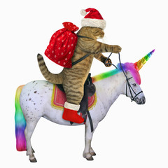 The cat in the Santa Claus outfit is riding the real unicorn. White background.