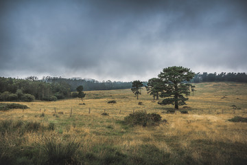 Obraz premium Brétema