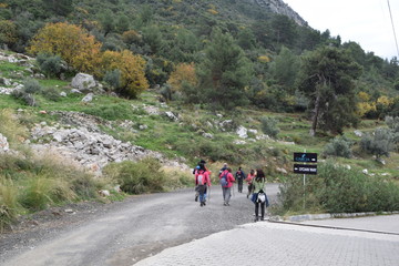 Obraz premium Hiking. Campaign.Backpack tourism in pine forest. Hike along the route of the Lycian trail. Fethiye. Turkey. 9.12.18