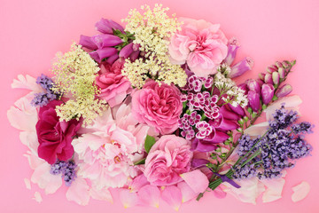 Flowers and herbs used in natural alternative herbal medicine on pink background. Top view, flat lay.