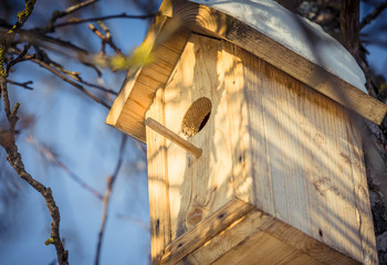 Birdhouse in a tree in winter