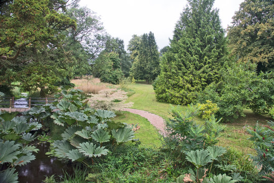 Pathway thru the Meadow