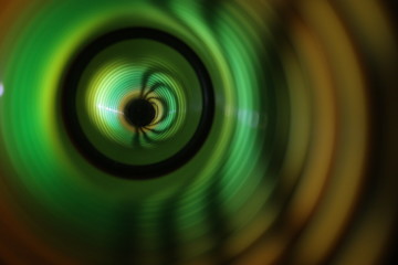 chameleon's eye