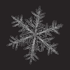 Snowflake isolated on black background. Vector illustration based on macro photo of real snow crystal: elegant stellar dendrite with hexagonal symmetry, complex ornate shape and beautiful details.