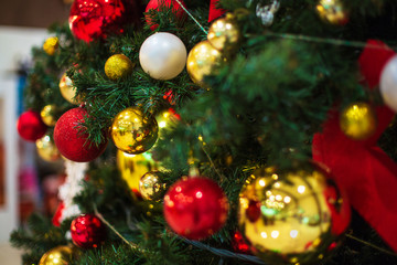 Fototapeta na wymiar Christmas Tree Background
