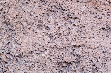 natural coquina shell rock texture. background, geological.