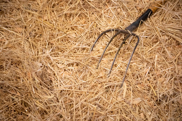 Pitch fork in a bale of hay