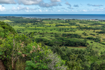 Obraz premium Trees, open fields and houses in a tropical setting with the ocean and clouds in the background