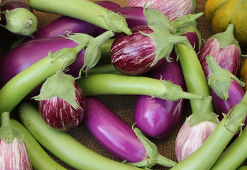 Fresh harvest aubergines, also known as eggplants and peas