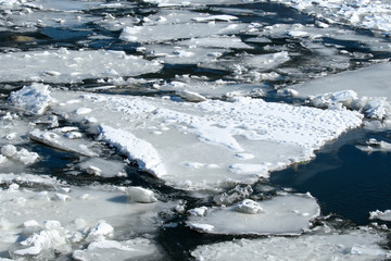 White ice floes with traces of birds and animals on blue water