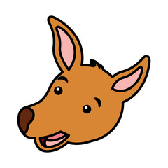 kangaroo face australian wildlife white background