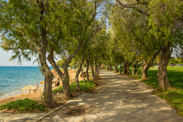 tropic south park outdoor natural environment along Aegean sea shore line waterfront road between trees in clear vivid summer weather time