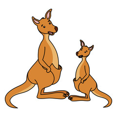 kangarro and baby australian wildlife