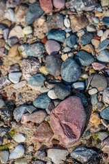 rock covered beach in countryside in Latvia, large rocks in water