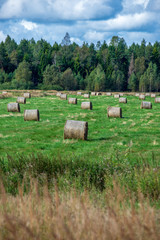 rolls of hay in green field under blue sky
