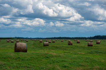 rolls of hay in green field under blue sky