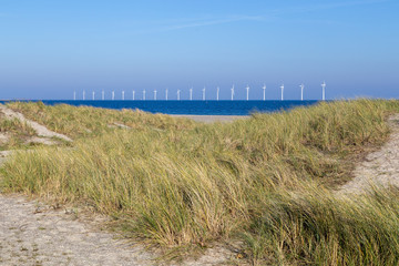 Offshore wind power plants and sand dunes