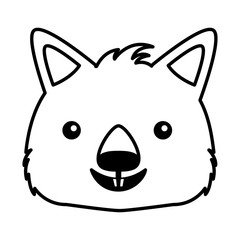 wombat face australian wildlife white background