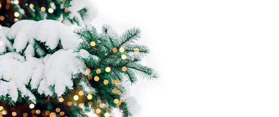 Christmas landscape with snowdrifts and pine branches in the frost.