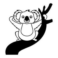 koala animal on the branch