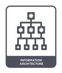 information architecture icon vector
