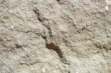 The texture of grey coarse concrete stone block, background