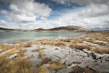 Burren national park