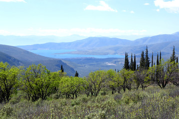 Fototapeta premium View of the area surrounding Delphi, Greece in spring