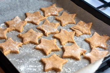 rolled out dough on a protvin with cut out figures for baking cookies