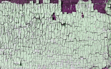 Old wooden texture with peeling paint , Old wooden background with remains of pieces of scraps of old paint on wood. peeling paint. old blue board with cracked paint, vintage, wood, background