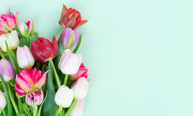 Bouquet of tulips flowers on pastel green background with copy space