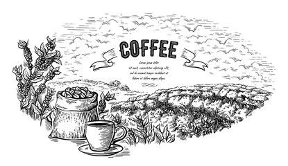 coffee plantation landscape bag bush and cup in graphic style hand-drawn vector illustration.