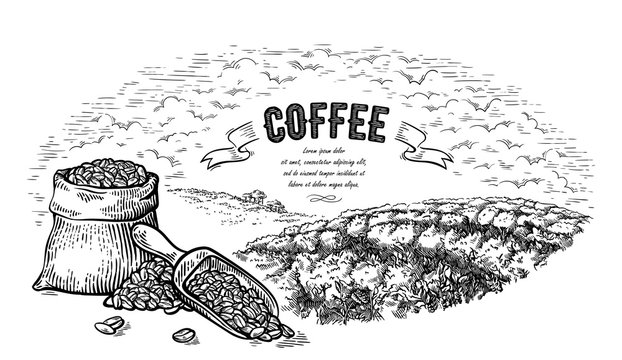 coffee plantation landscape bag bush and scoop in graphic style hand-drawn vector illustration.
