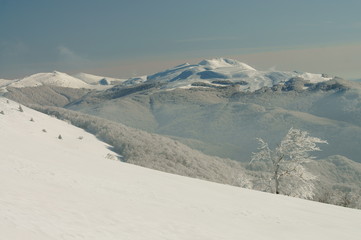 Fototapeta na wymiar Beautiful mountain meadows in the winter. Bieszczady National Park. Polonina Carynska and Tarnica.