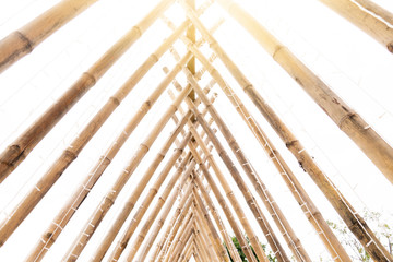 Bamboo arch with light.