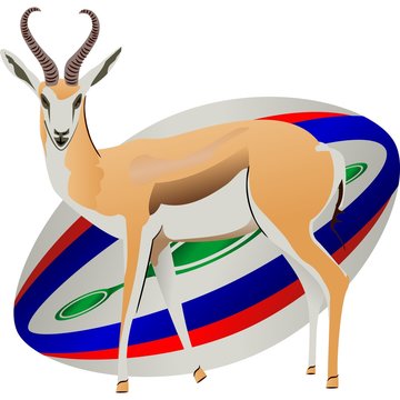 Iconic South Africa - Springbuck Rugby