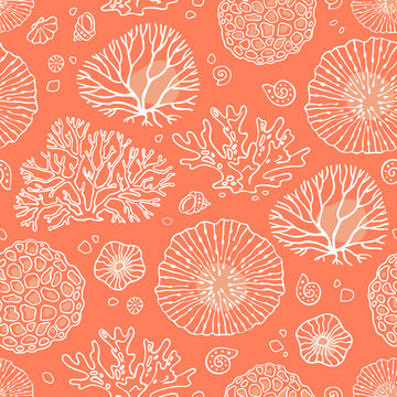 Seamless pattern vector with corals