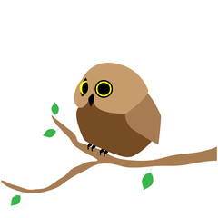 Little cute owl on a tree branch