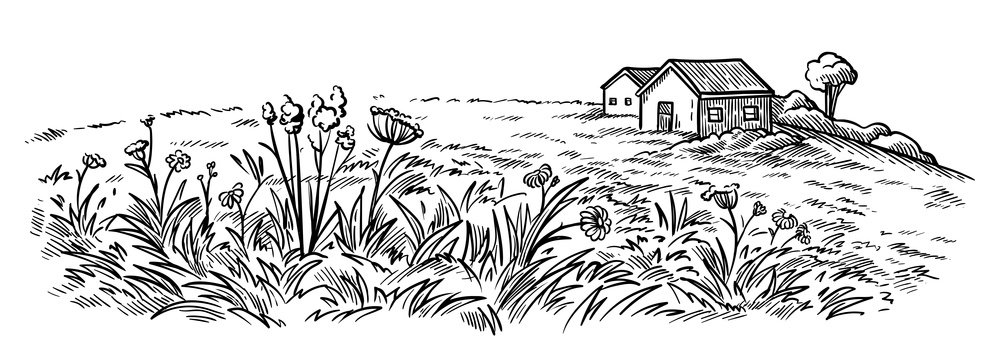 field near the village houses in the background and flowers vector