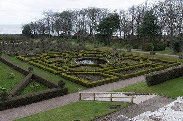 garden with flowers