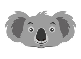 koala face australian wildlife white  background © Gstudio