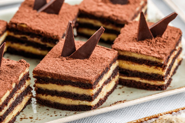 Cakes tiramisu with chocolate, cocoa and candies on holiday background. Delicious dessert and candy bar