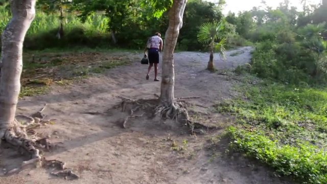 Professionally Dressed African Woman Walks Down Road