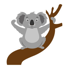 koala animal on the branch