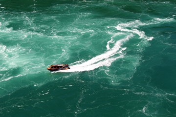 Obraz premium river adventure speed boat