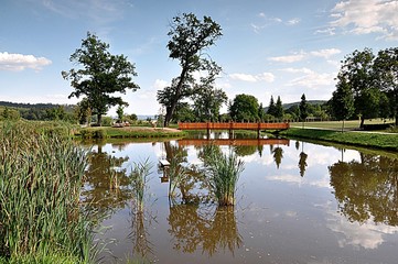 Fototapeta premium park and pond 